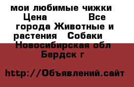 мои любимые чижки › Цена ­ 15 000 - Все города Животные и растения » Собаки   . Новосибирская обл.,Бердск г.
